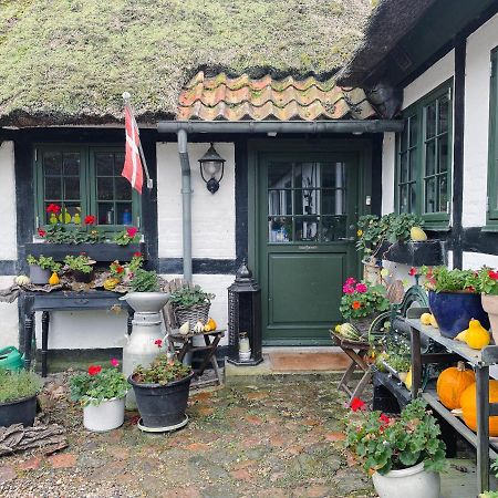 The Foresters House- Idyllic Tranquility- Non Smokers Only Store Heddinge Exterior foto