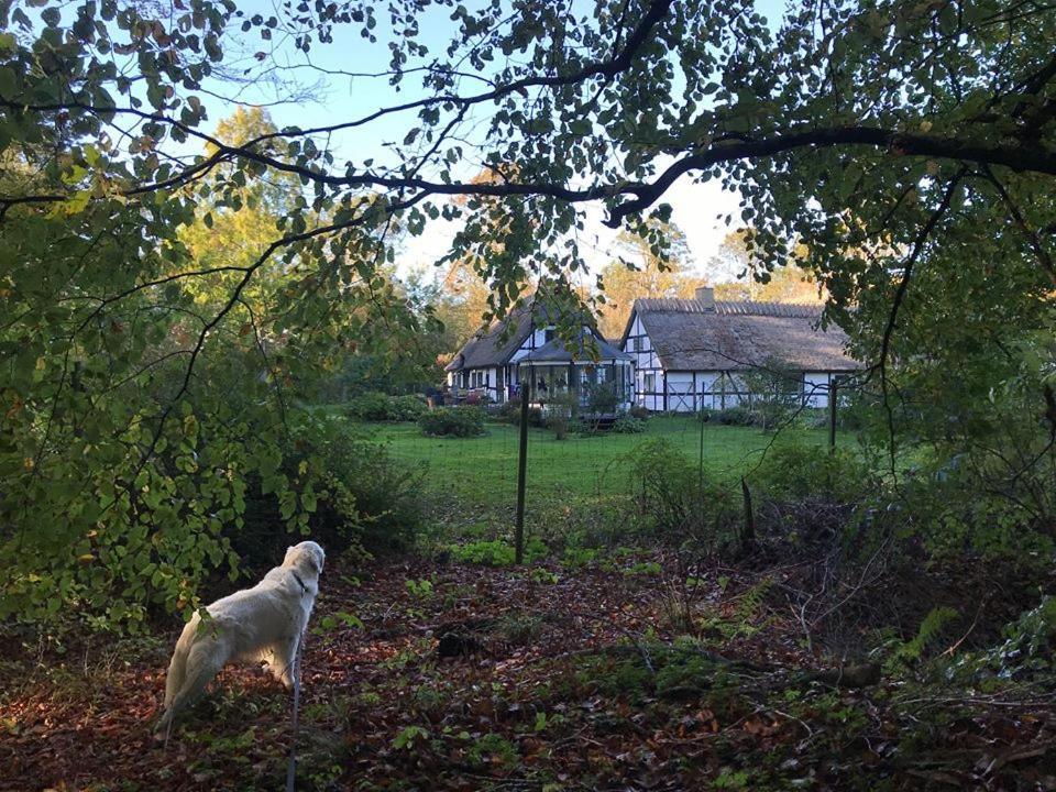 The Foresters House- Idyllic Tranquility- Non Smokers Only Store Heddinge Exterior foto