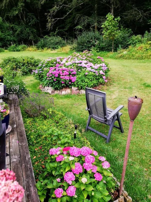 The Foresters House- Idyllic Tranquility- Non Smokers Only Store Heddinge Exterior foto